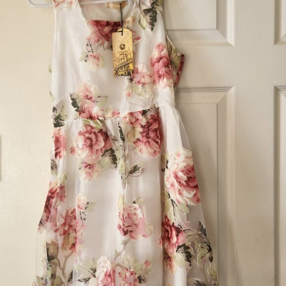 Floral Print Sheer Sleeveless Dress Brand New Women’s Fashion Outfit - Picture 8 of 12
